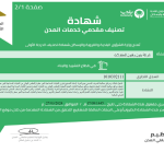 شهادة تصنيف مقدمي خدمات المدن - درجة أولى